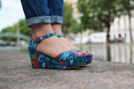 Birds of Paradise
