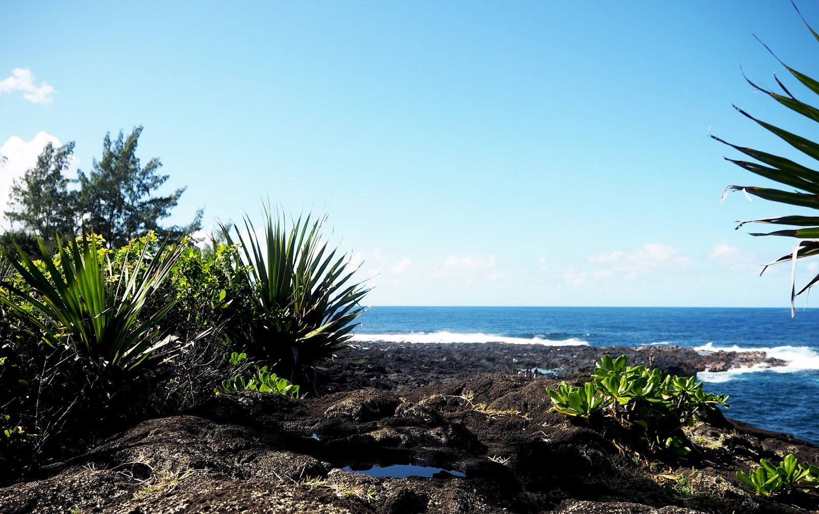 Carnet de voyage à la Réunion