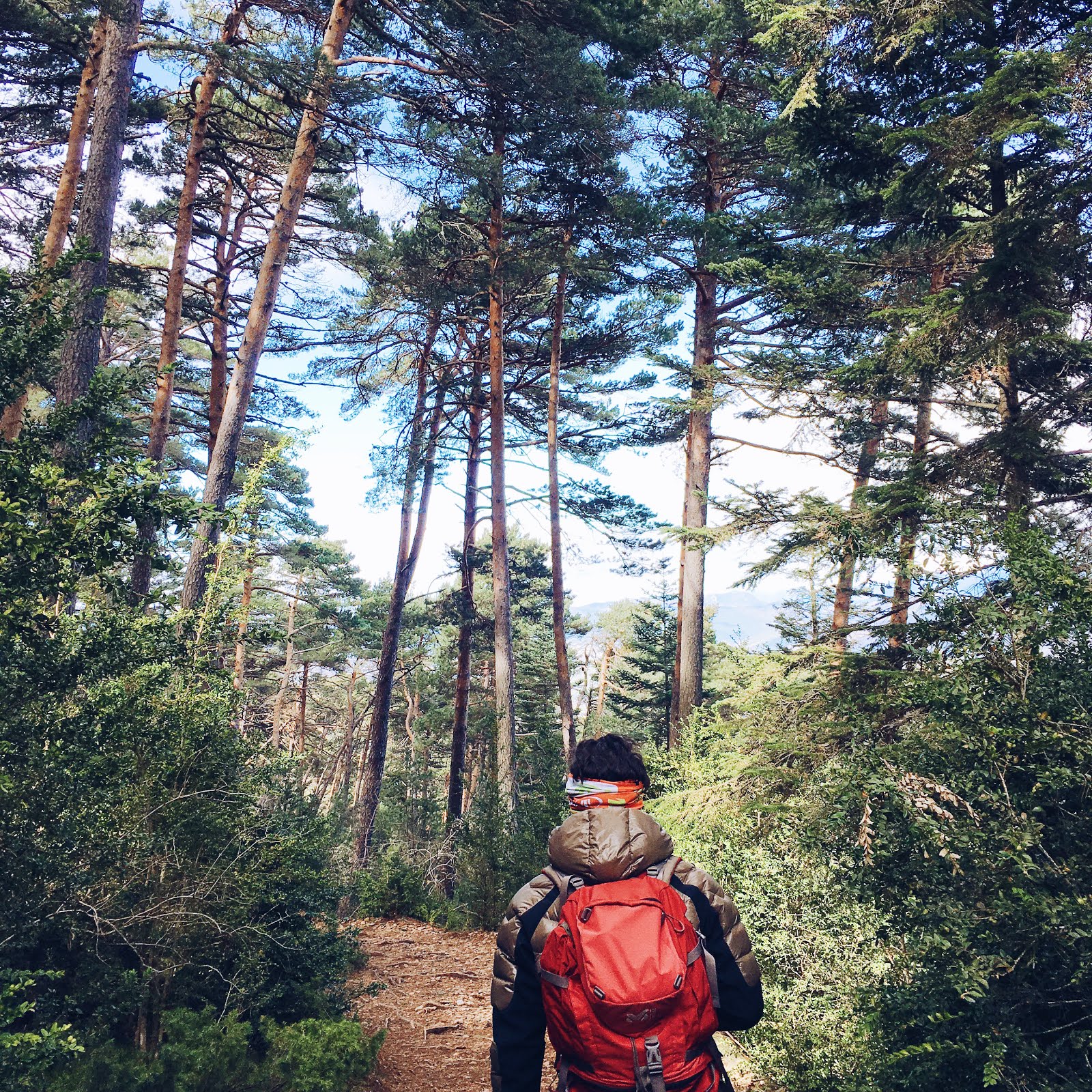 Adrien accompagnateur montagne