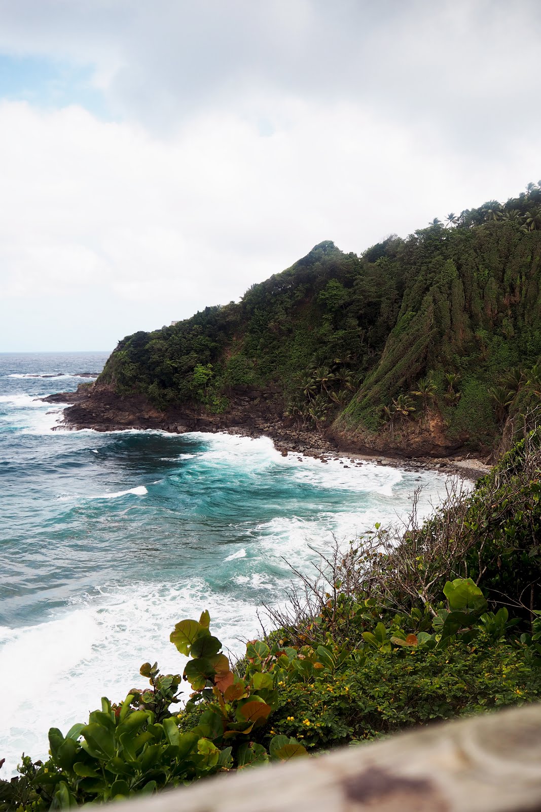 île Dominique caraïbes