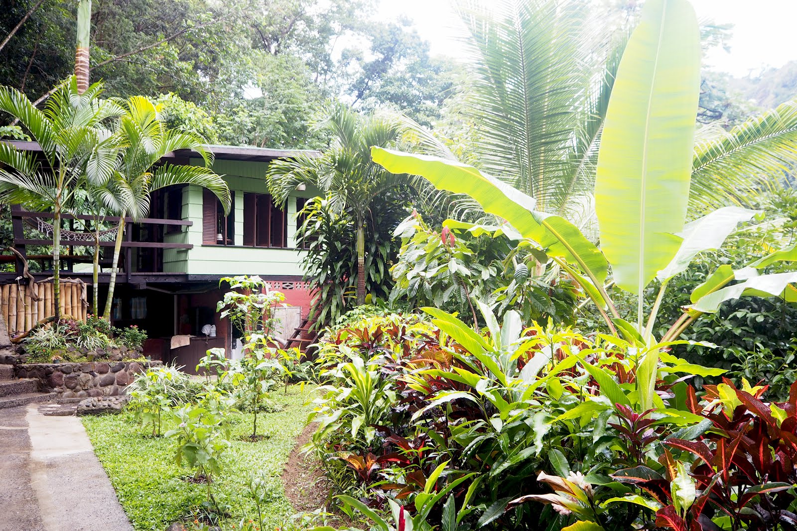 Dominica Cocoa Cottage