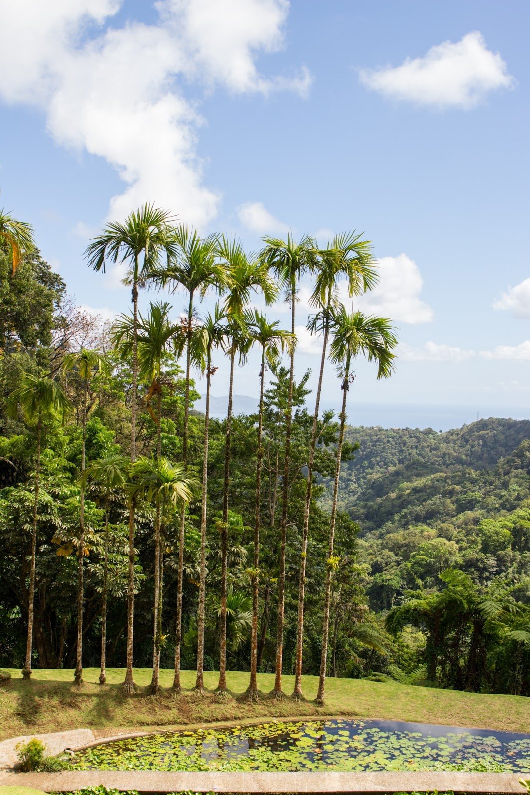 Jardin Balata Nord de la Martinique