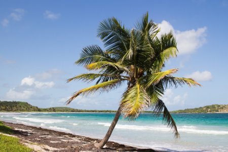 Voyage – Sud de la Martinique