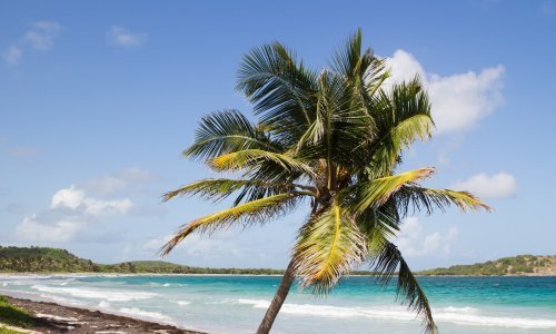 Martinique plage paradisiaque