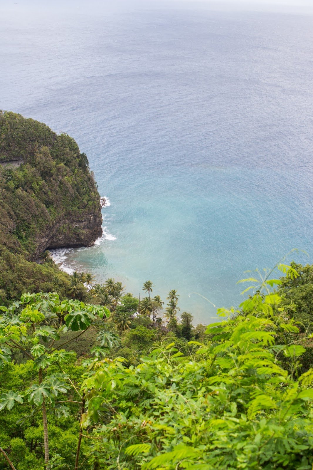 Anse Couleuvre Grand Rivière Nord de la Martinique 