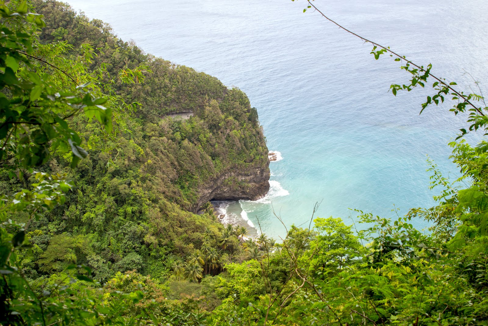 Voyage Nord de la Martinique 