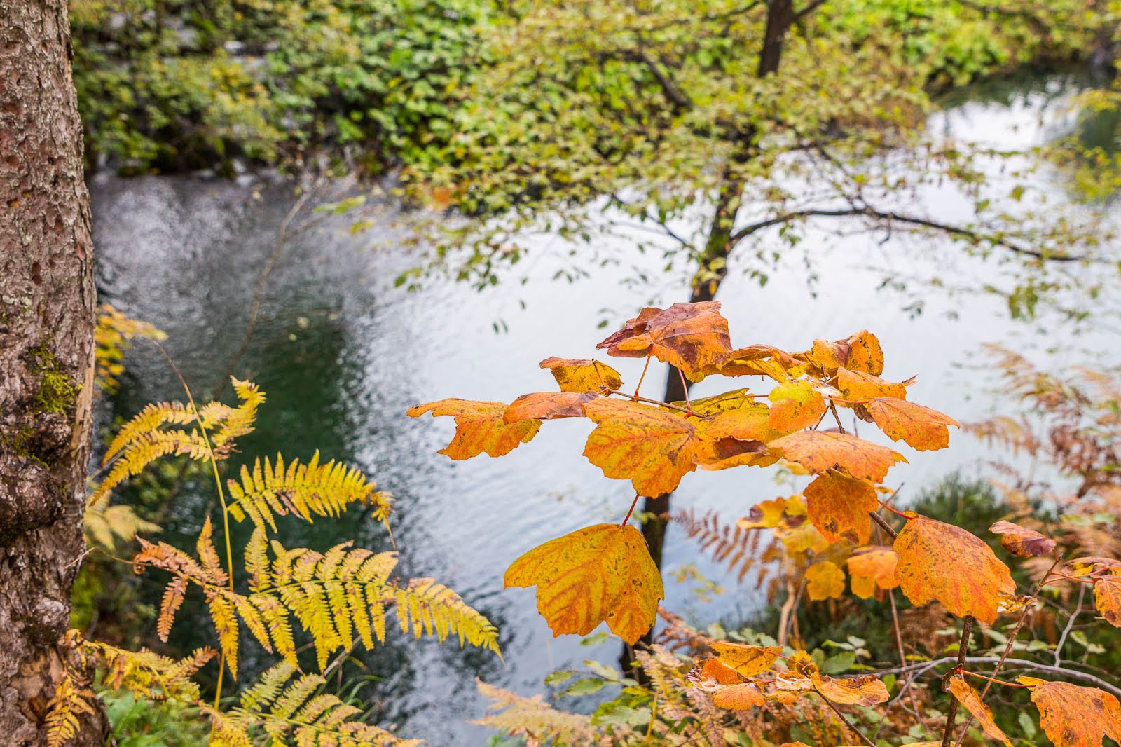 Parc Plitvice Croatie automne