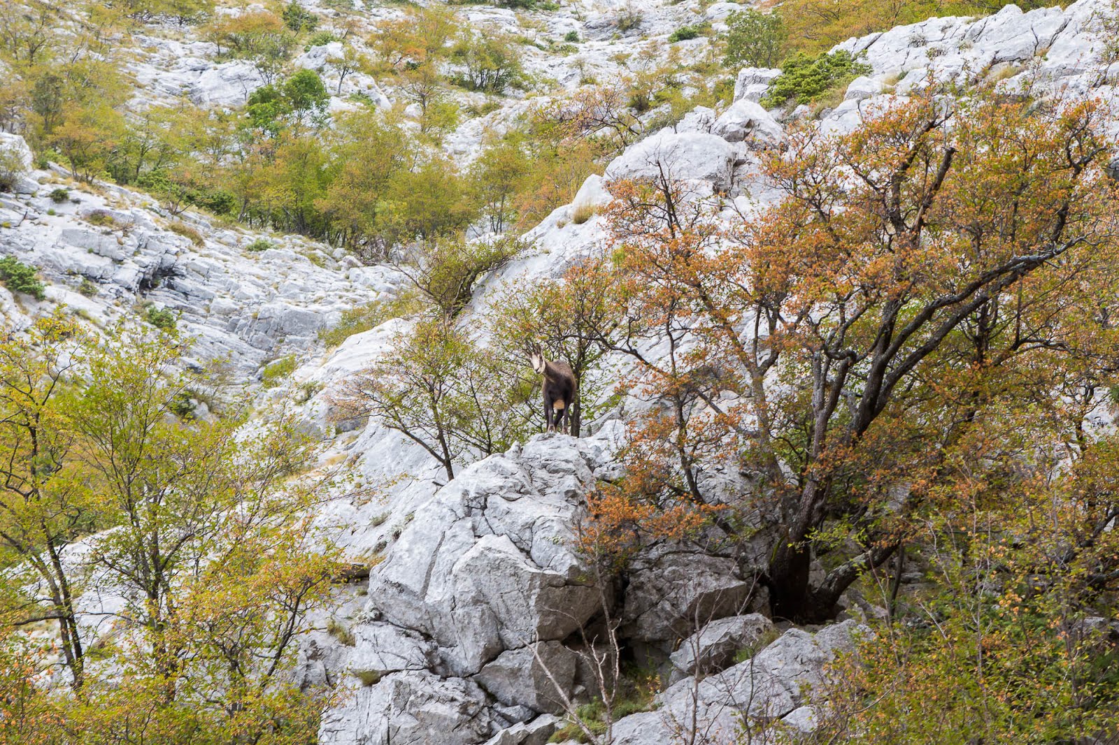 Randonnée en Croatie