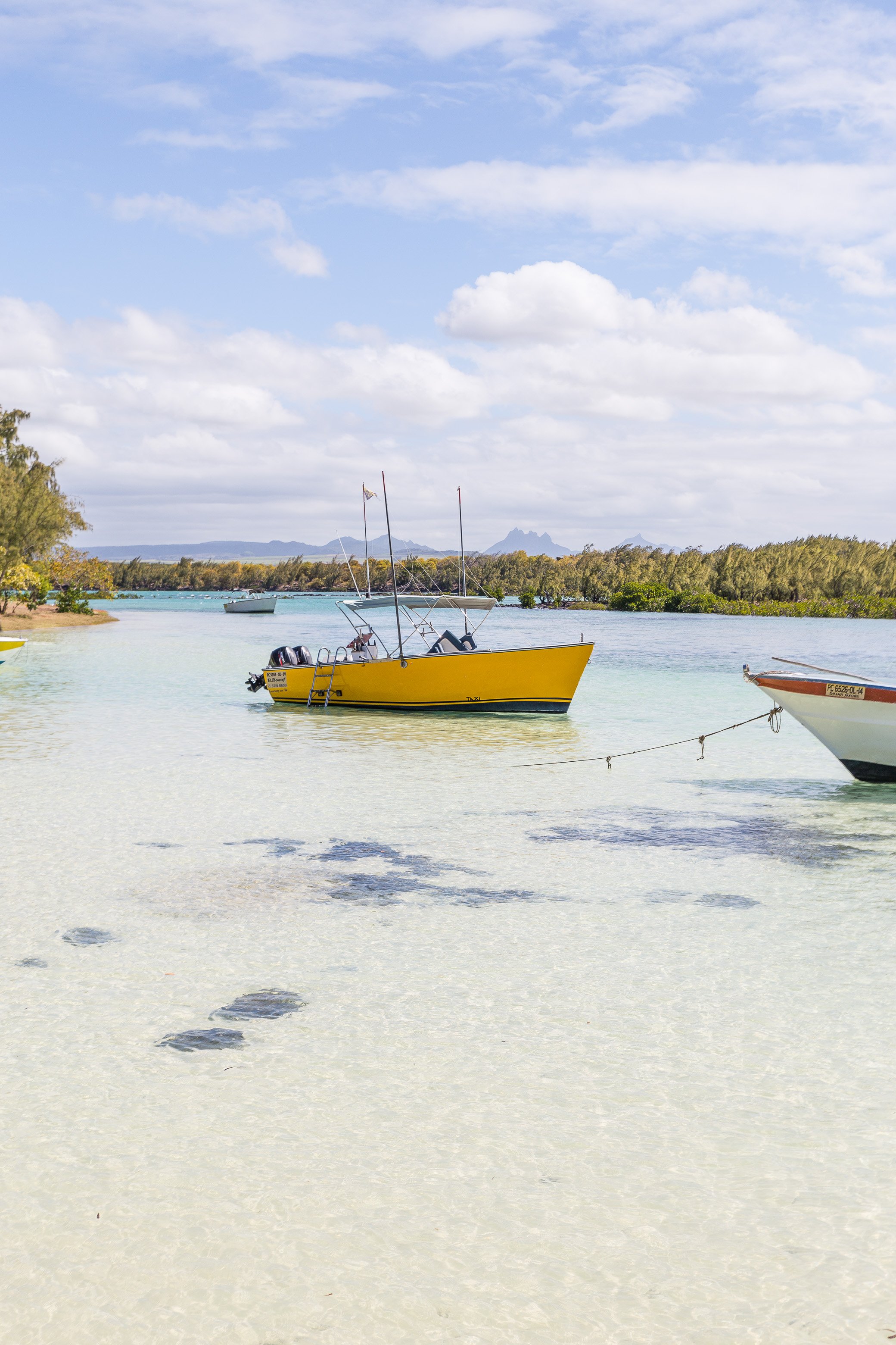 activité île Maurice