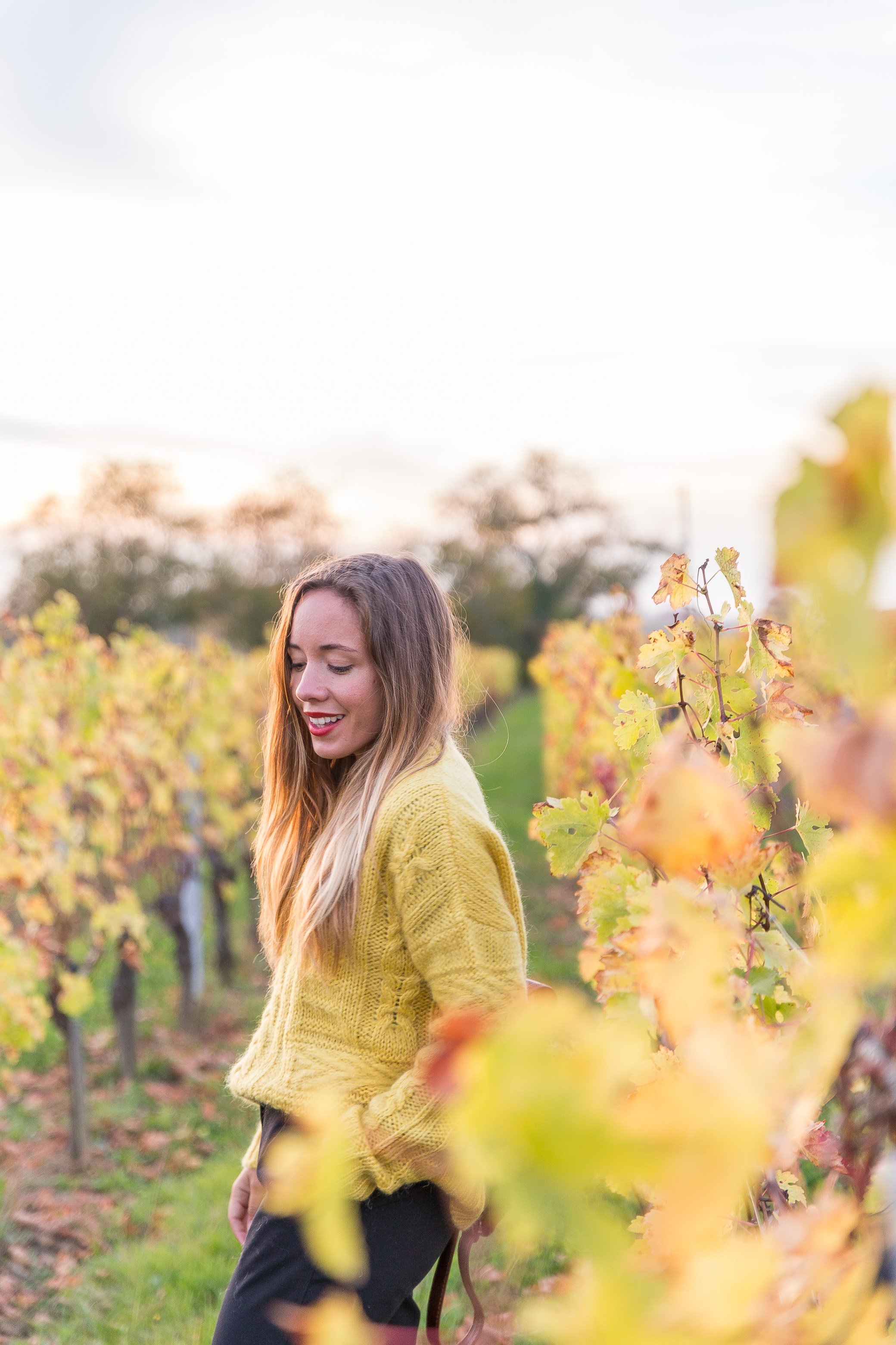 pull jaune automne