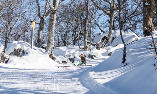 Blog sport ski