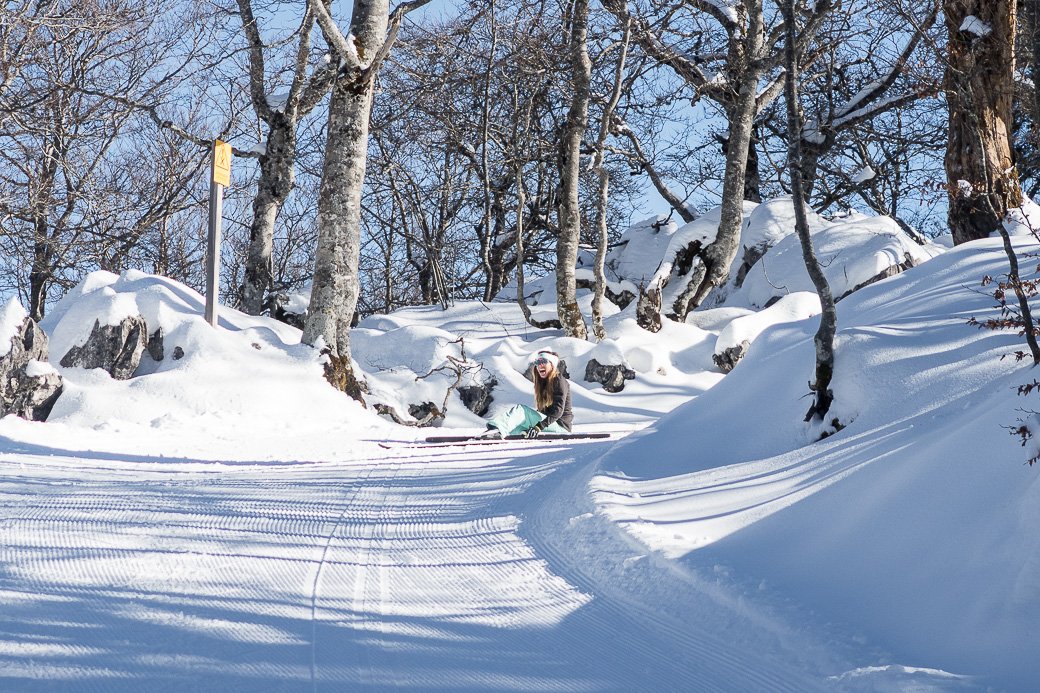 Tester le ski de fond en famille