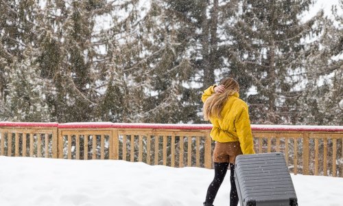 valise pour le ski
