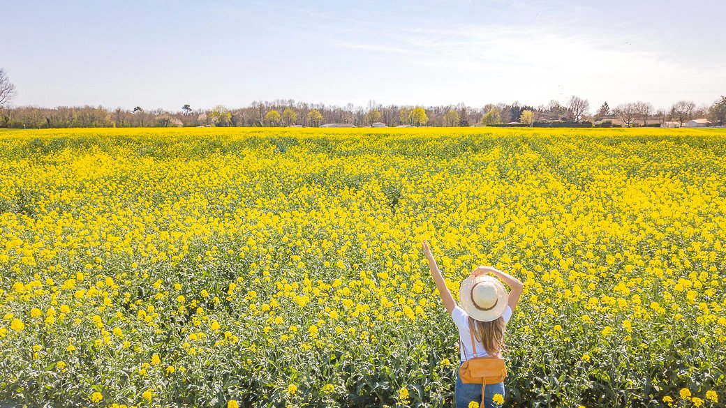 Chapeau de paille et champ de colza // La Penderie de Chloé, blog mode.