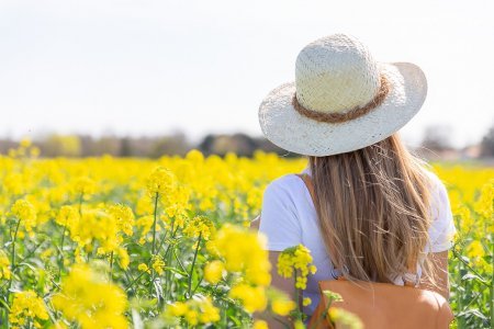 Chapeau de paille et champ de colza