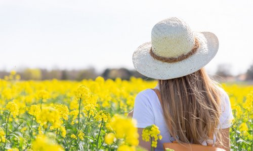 chapeau de paille champ de fleurs