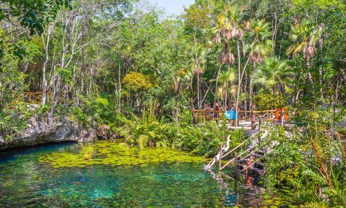 Voyage au Mexique Cenote