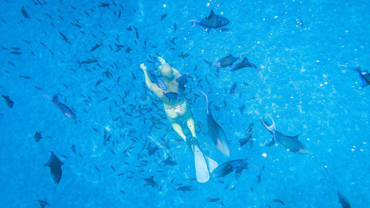 Plongée à Bora Bora