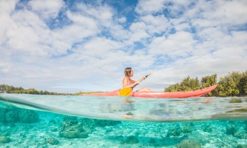 dôme pour gopro