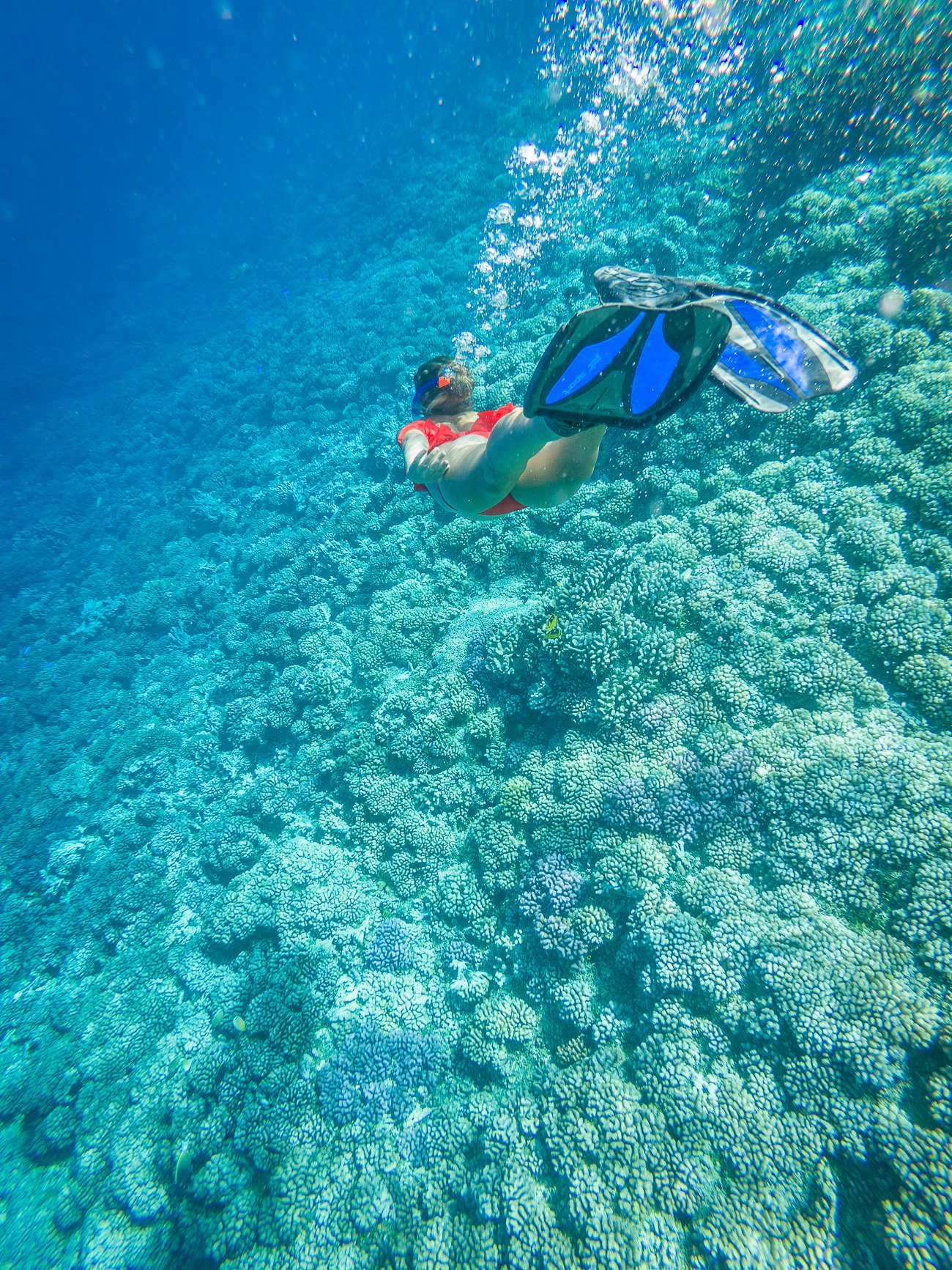 snorkeling tahiti