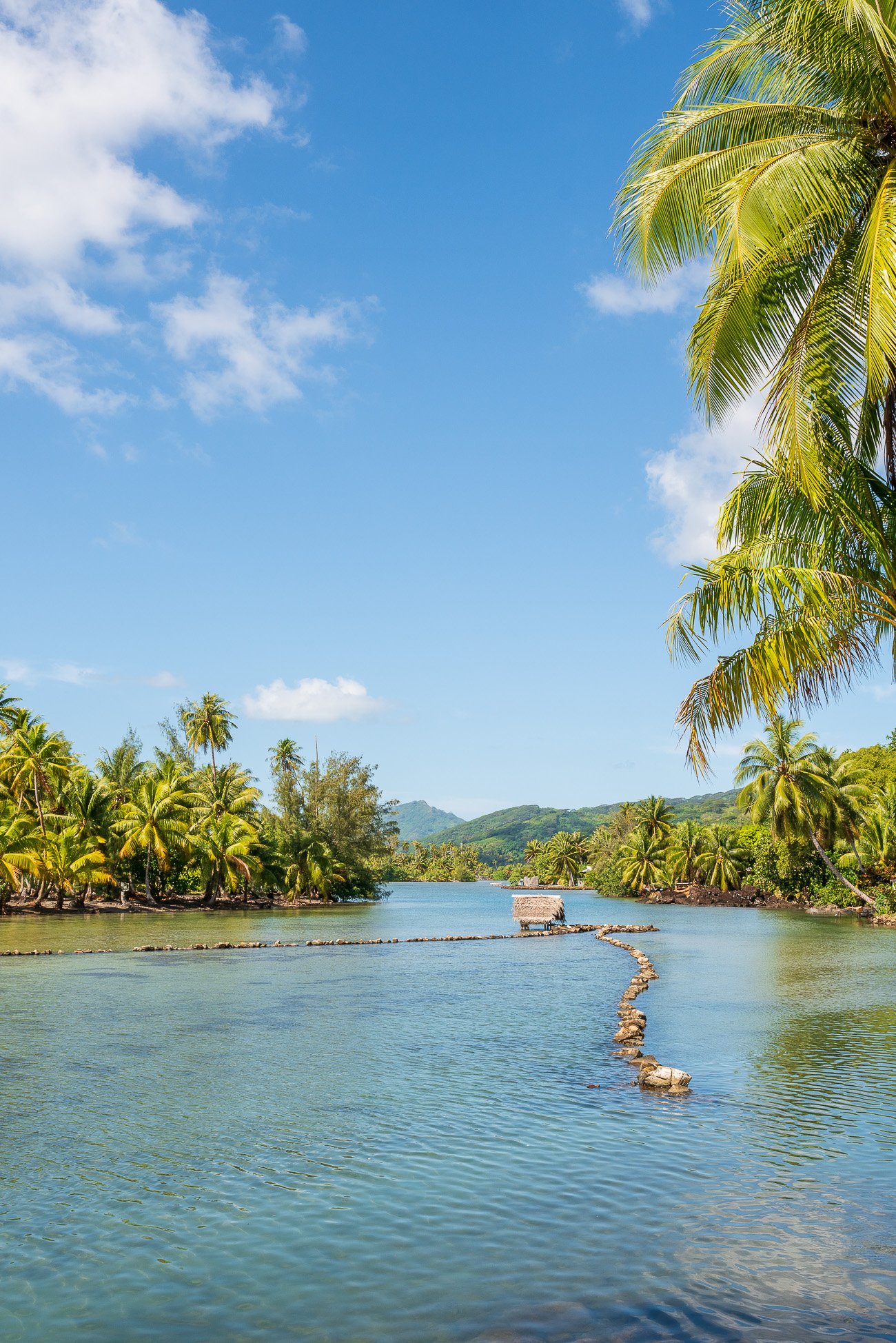 Que faire à Huahine