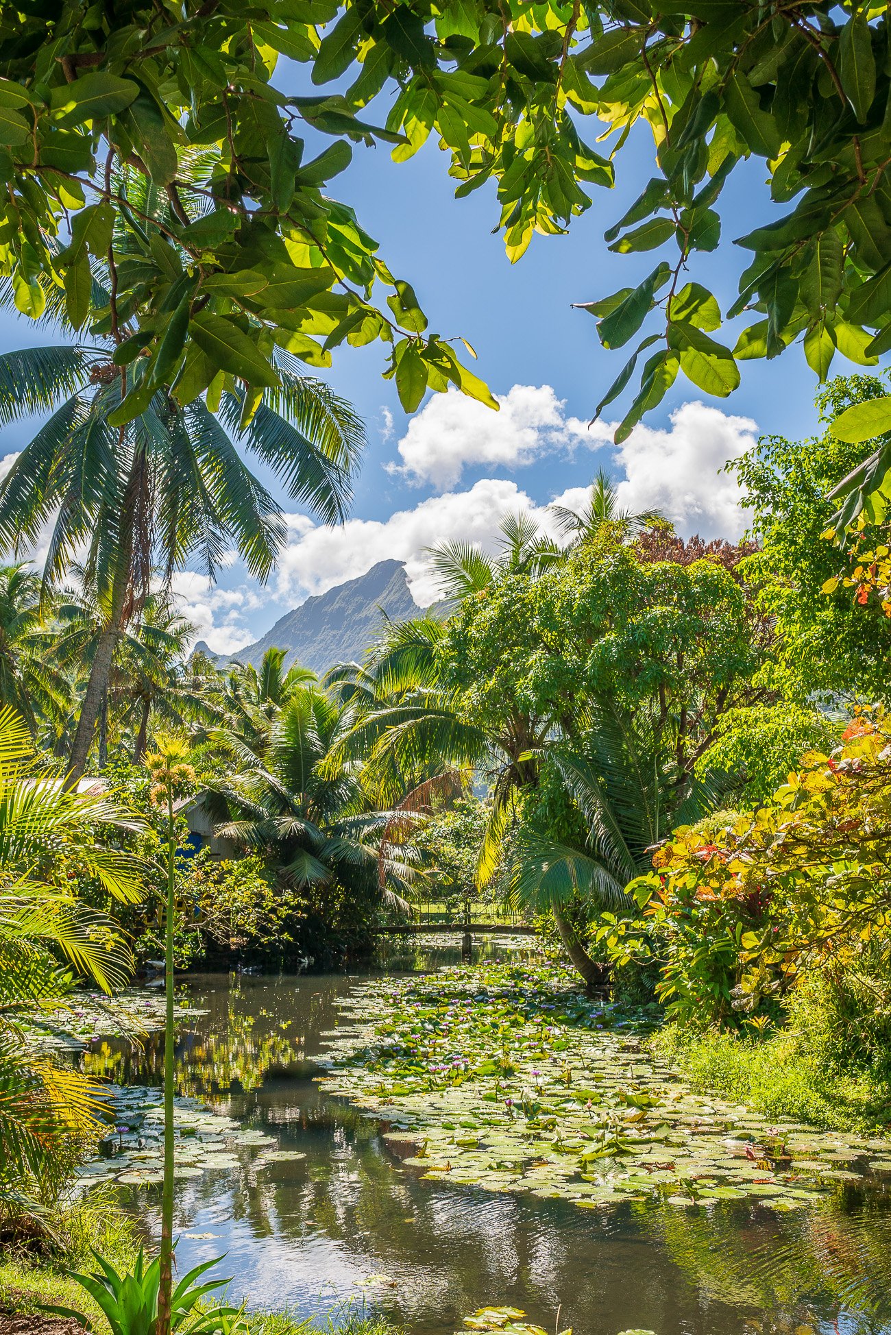 Tehahupoo Tahiti