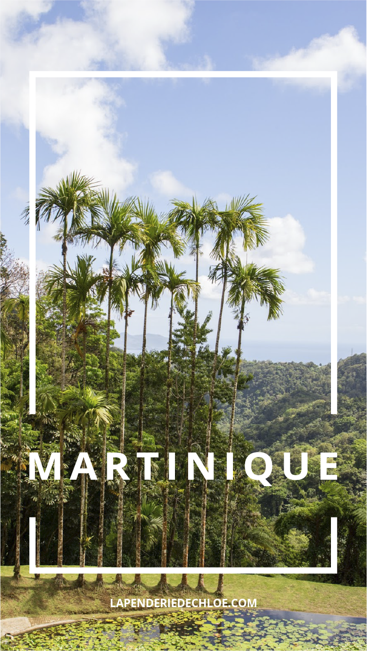 voyage Martinique Pinterest
