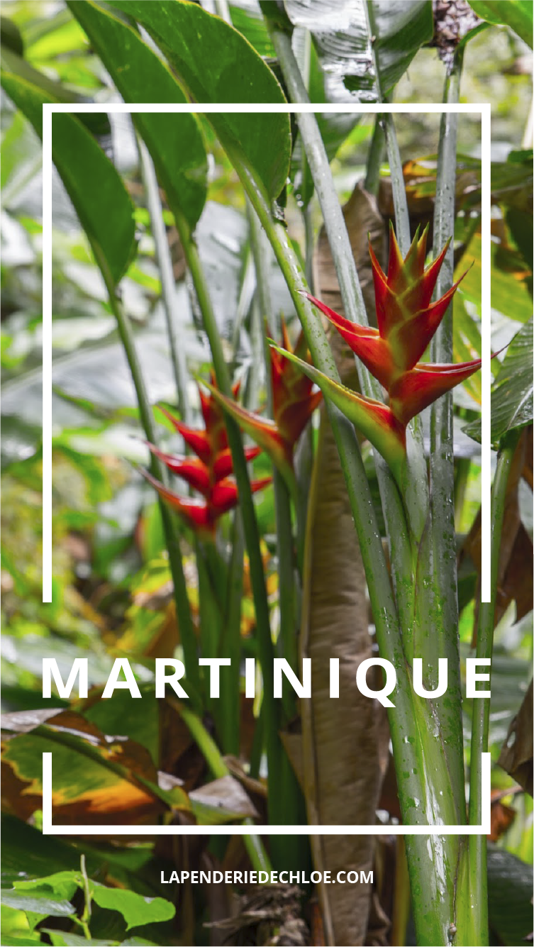 Visite Martinique conseil Pinterest