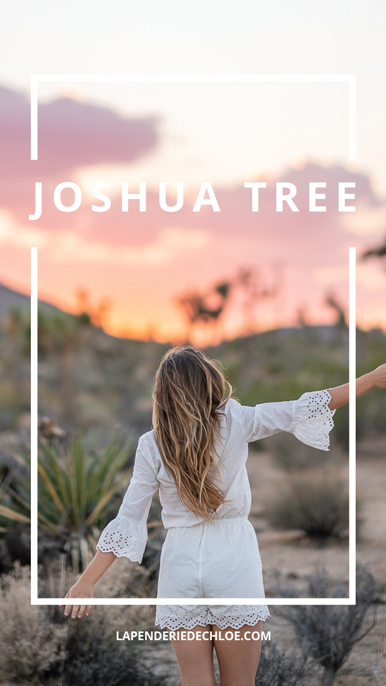 Joshua tree blog