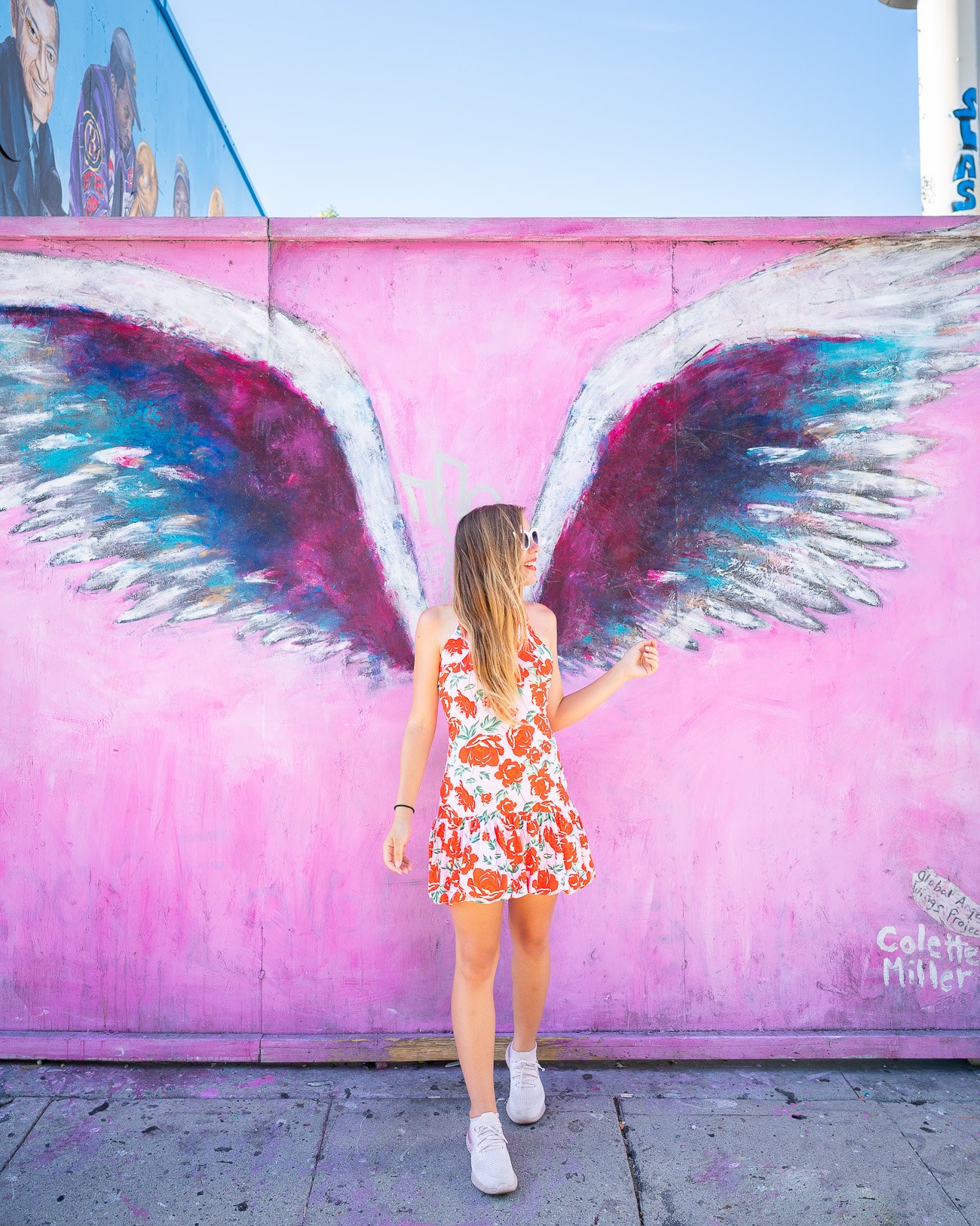 Los Angeles Ailes Angel Wings