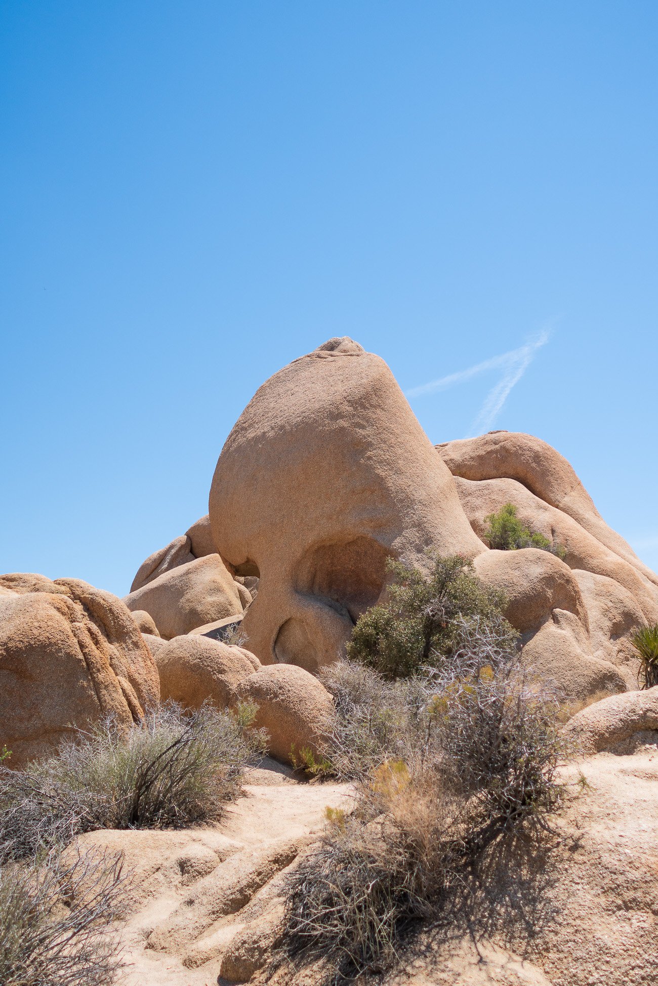 Skull Rock Joshua Tree