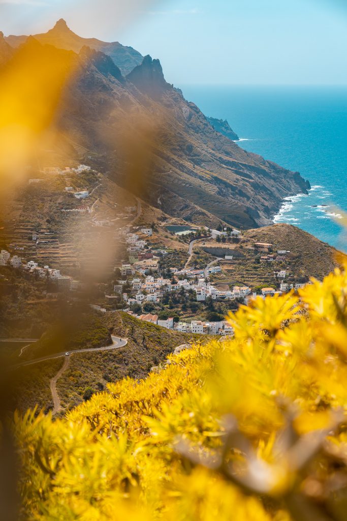 Tenerife Nord Sauvage