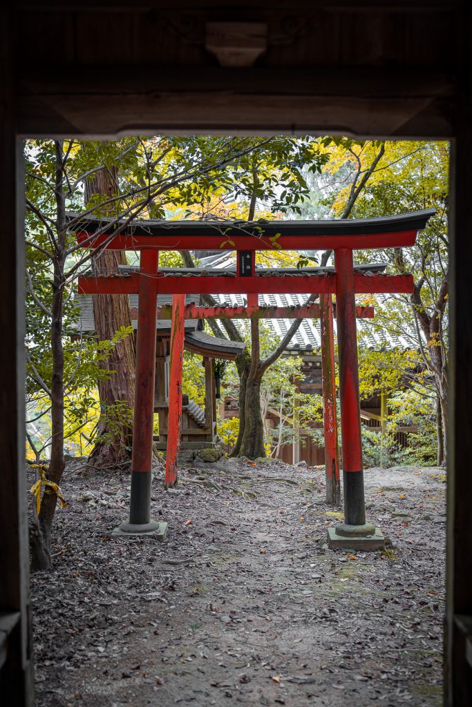 Mont Shosha torii portail rouge
