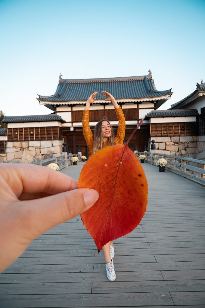 Visiter le japon en automne