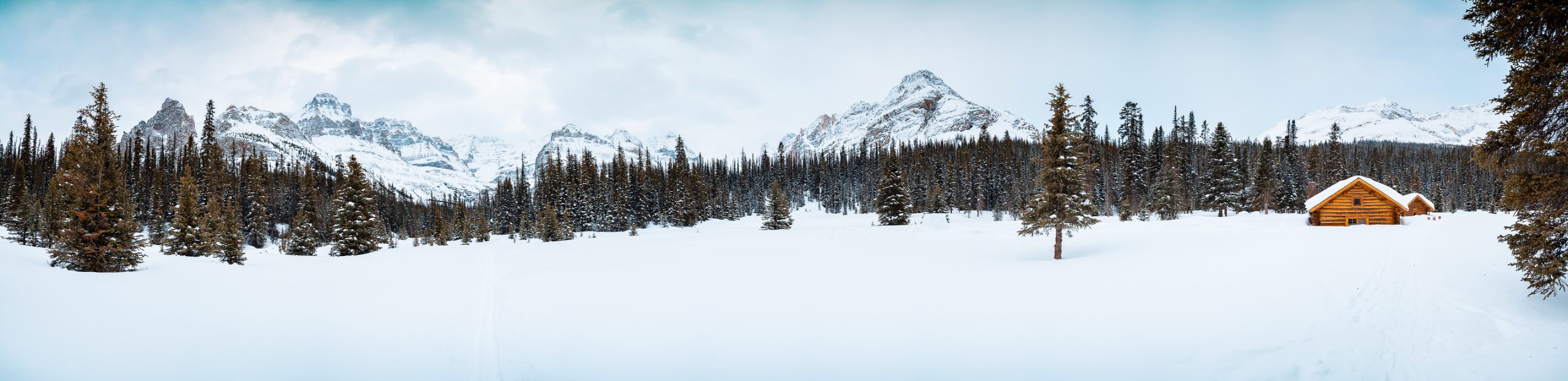 Alberta Canada en Hiver voyage