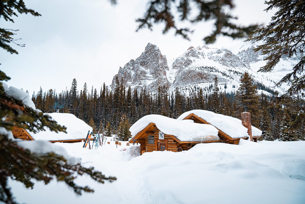 chalet accessible en ski en alberta