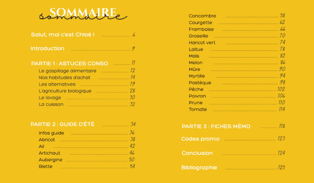 sommaire ebook chloé penderie guide fruits et légumes été