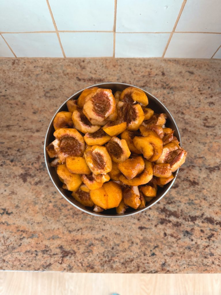 pêche fruit de saison du jardin récolte verger