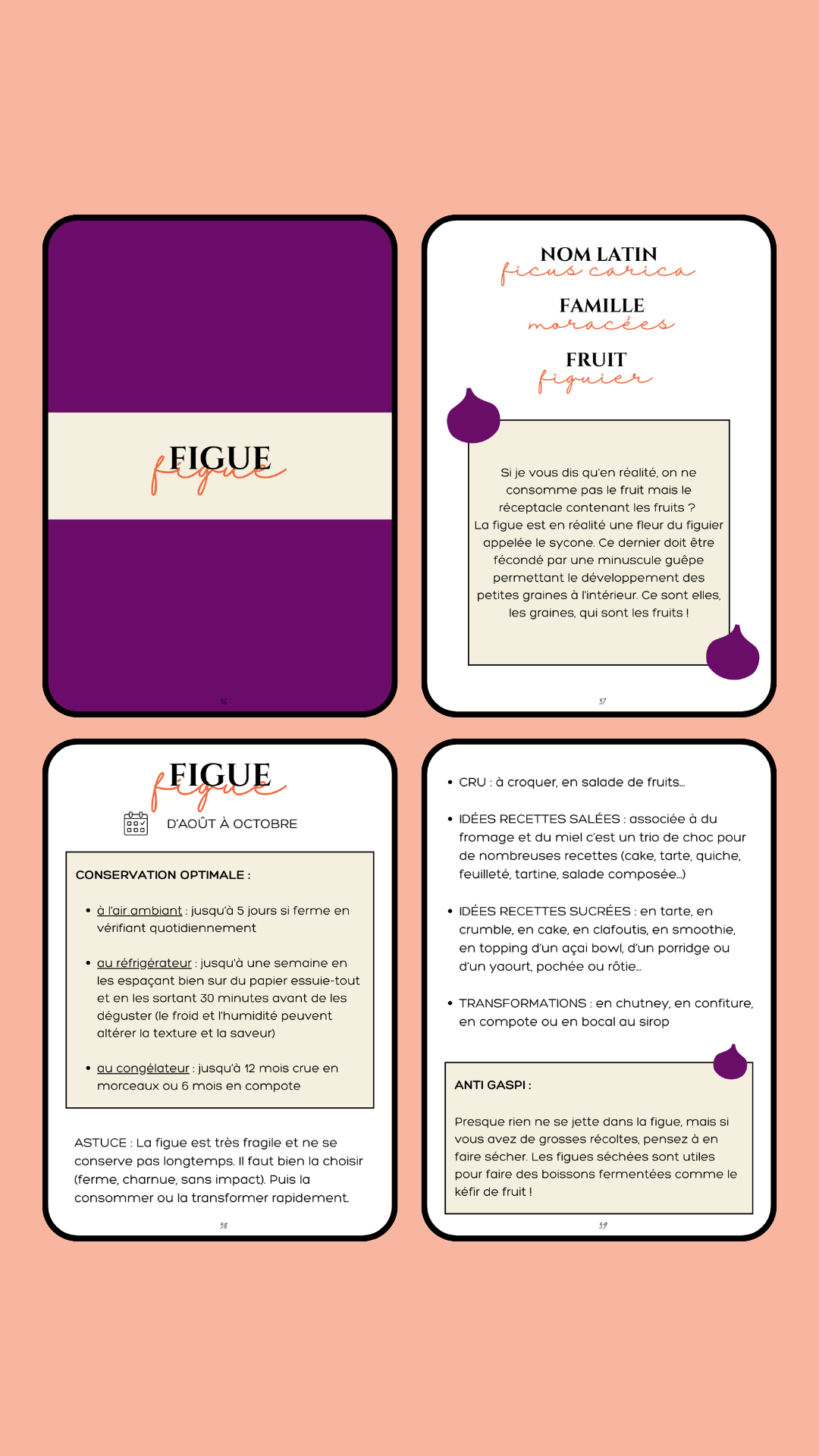 figue conservation conseils astuce anti gaspillage