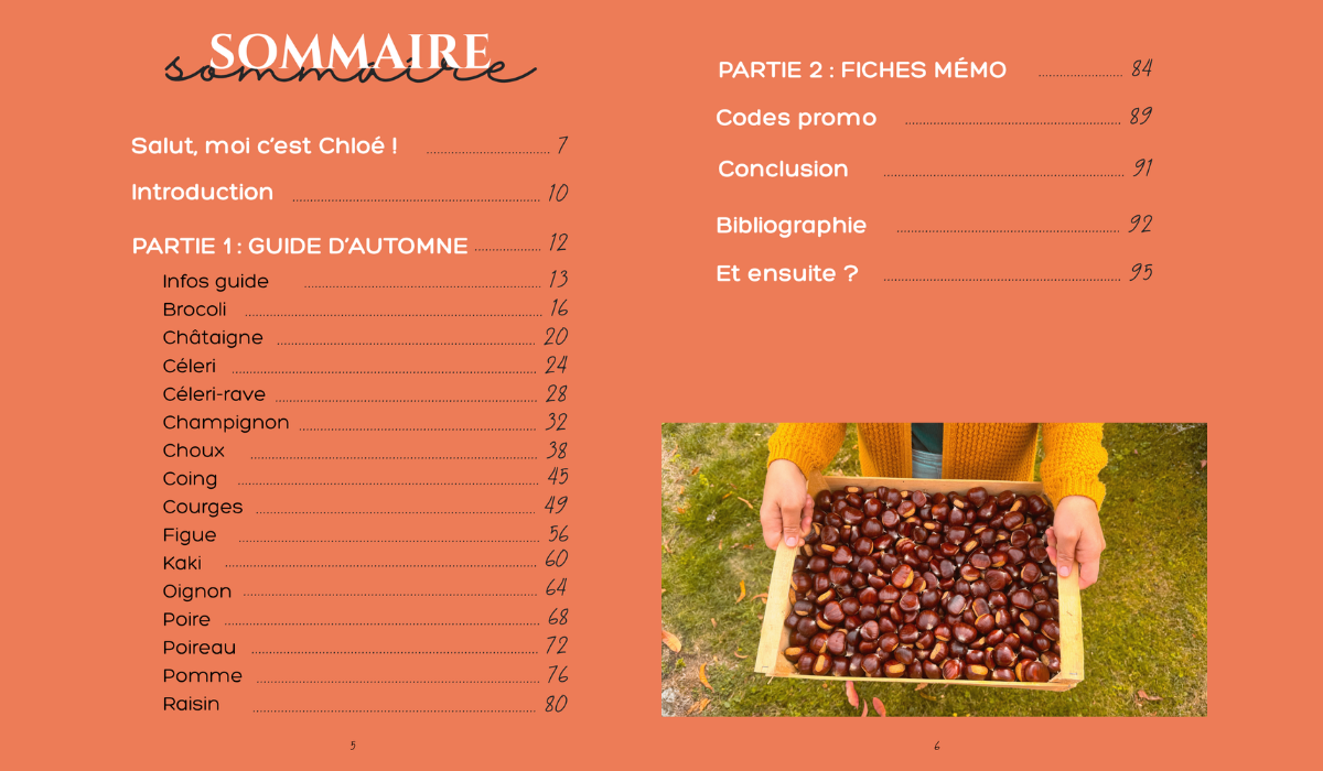 sommaire ebook cuisine de saison châtaignes