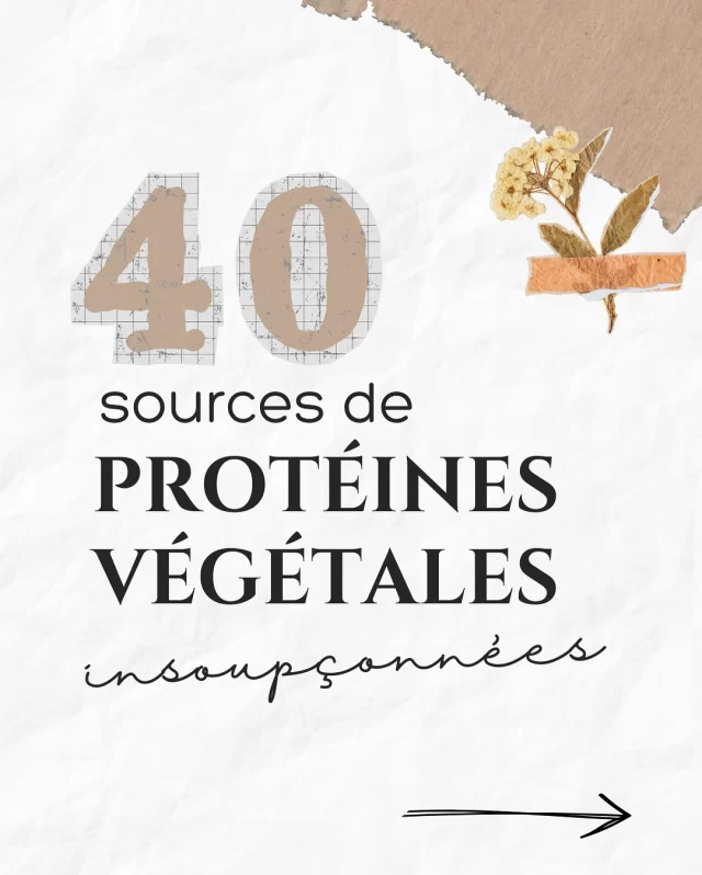 Des mangeurs de graines dans la salle ? 🙋‍♀️🌱

💾 Enregistre ce post pour conserver le classement !

« Oui mais les protéines végétales sont moins bien assimilées… » « Oui mais le soja nanani nanana »

Je vous invite à consulter les sources suivantes pour en savoir plus :
👉 jemangevegetal.fr
👉 onav.fr

Pour ma part, je consomme quotidiennement :
🌱 Des mélanges de graines (tournesol, lin, chanvre, couvre) en topping sur mes plats.
🥜 Des noix et fruits à coques en en-cas (amandes, cajou, noix, noisettes…)
🍪 Des farines complètes dans mes recettes.
🥄 Des purées d’oléagineux en tartinade ou en cuisine.

Par contre, je ne connais pas du tout le lupin, la farine de soja, les graines de luzerne et de fenugrec, cela me donne envie d’explorer cela 👀

Et toi, plutôt noix ou graines ? Ou les deux !?
Qu’est-ce qui te surprend le plis dans ce classement ?

PS : si tu veux découvrir les 40 sources de protéines catégorie « légumineuses, céréales, légumes et fruits rendez-vous sur mon profil quelques posts plus bas.

-

💛 Abonne-toi @chloe_penderie 💛

#végétarien #cuisinevegetarienne #cuisinevegetale #proteinevegetale #legumineuses alimentation vegetale regime vegetarien proteines vegetales oléagineux fruits à coque noix farines classement teneur protéines